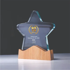Clear Crest Acrylic Recognition Award